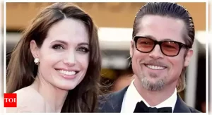 Brangelina Divorce